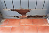 maçã